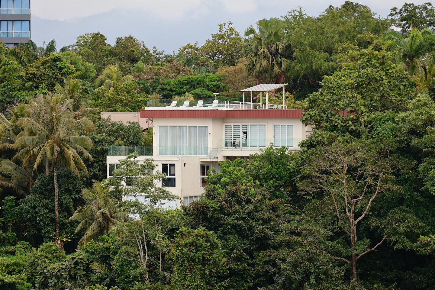 Modern house with glass balconies nestled in tropical trees.