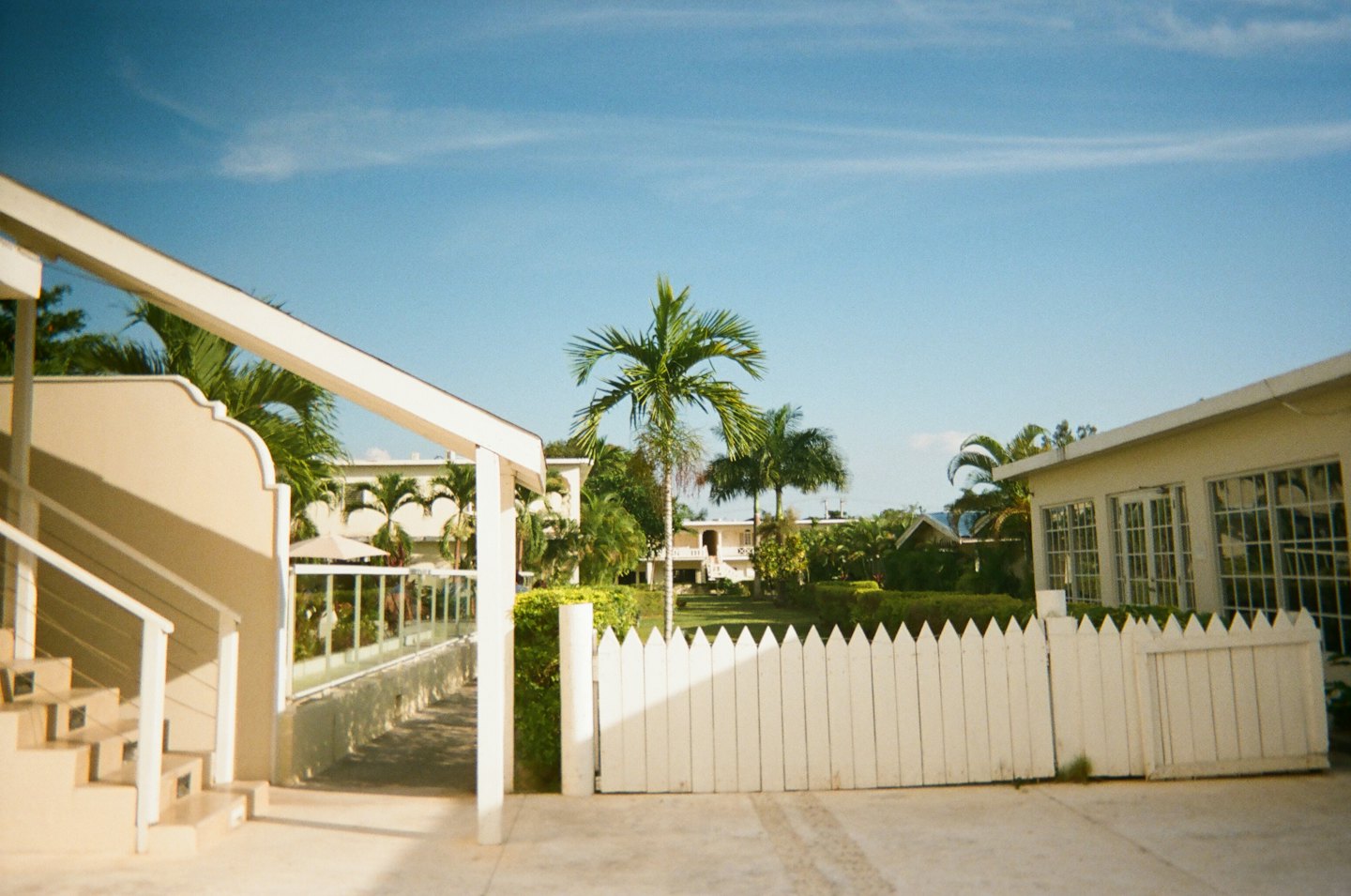A white picket fence surrounds a tropical resort lawn with palm trees.